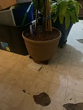 Thickirishcock850 online show from March 23, 9:26 am