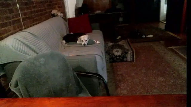 Johnny Bottoms online show from September 23, 12:32 am