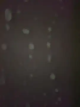 GildanK18 online show from November 25, 1:24 pm