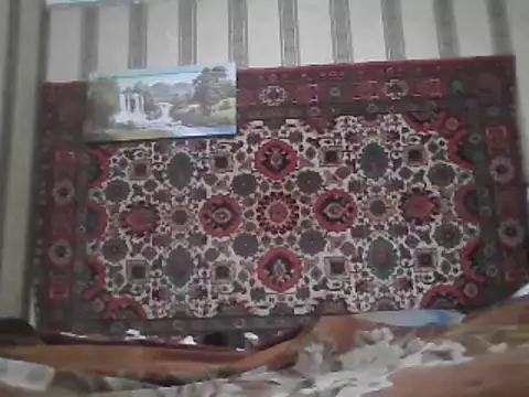 AlferezzSolvajo online show from January 20, 5:37 am