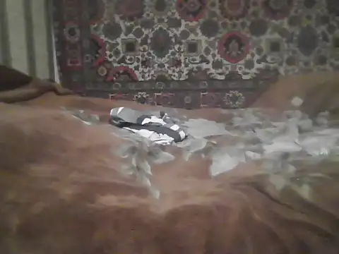 AlferezzSolvajo online show from September 13, 3:07 am