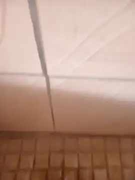 Choppies online show from December 5, 2:13 pm