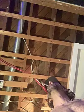 Pilote19 online show from April 5, 10:23 am