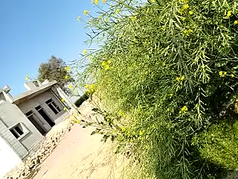 xmanrawan2 online show from February 6, 6:29 am