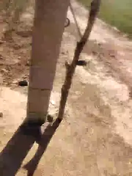 xmanrawan2 online show from February 21, 8:39 am