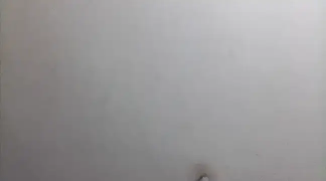 Snapshot of beatle666 chatting on February 26, 2:15 am beatle666 online show from February 26, 2:15 am