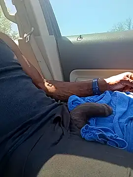 birdg online show from April 16, 4:29 pm