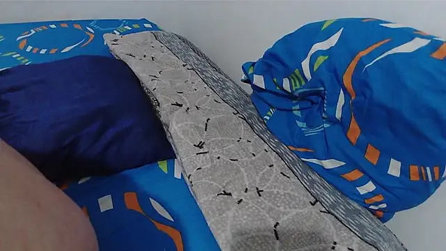 Smith Gael online show from November 15, 12:23 am