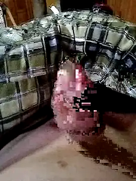 surfacespurt54 online show from December 22, 6:10 am