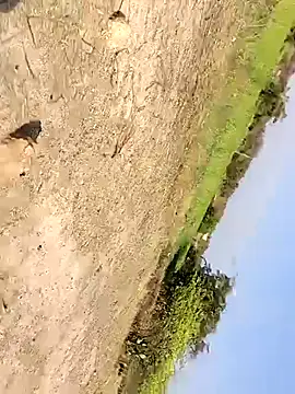 devarajgm fuck online show from March 4, 3:44 am