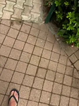billybib83 online show from July 16, 3:52 pm