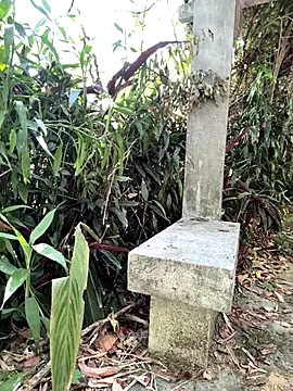 zack23088 online show from October 18, 2:05 am