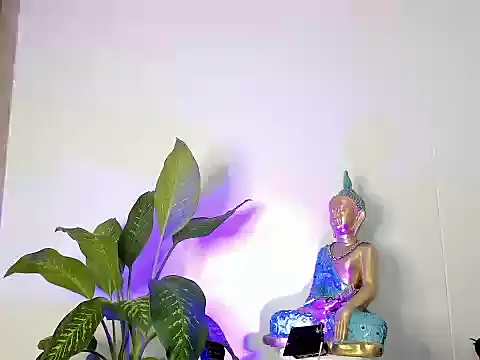 CamiiloRivera online show from November 29, 1:51 am