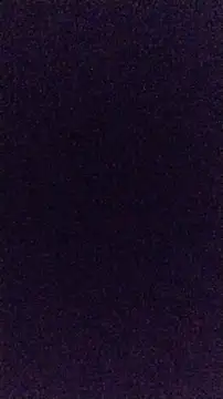 LeoMaduroSP online show from March 26, 1:26 pm