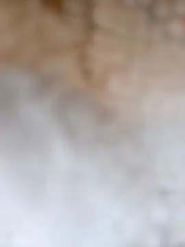 Radsjxh online show from December 17, 7:42 pm