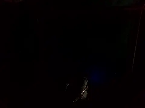 ParousFlow online show from April 20, 1:19 am