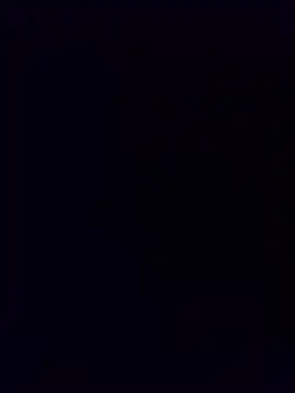 minnetird online show from December 15, 7:16 am