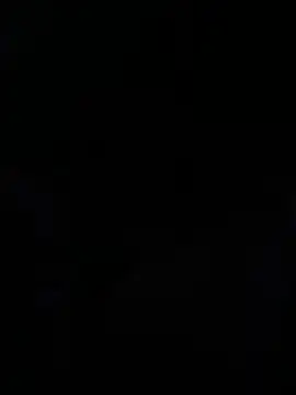 Maine8in online show from April 20, 9:45 am