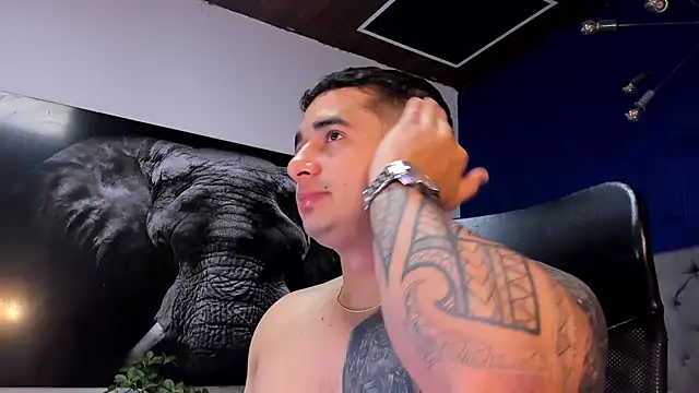 king falconer online show from January 7, 3:55 am