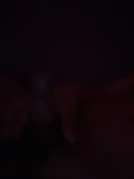 Bray9031 online show from March 1, 7:19 am