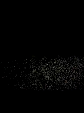 steelwoodVids online show from November 19, 1:49 am