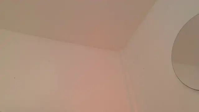 Twinkcock22 online show from October 13, 9:04 am