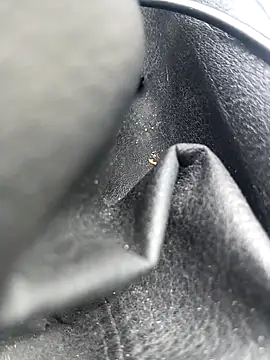 legaros online show from April 3, 2:25 pm