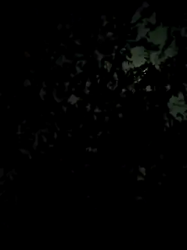 Girls pussy rider online show from February 28, 7:13 pm