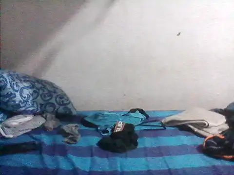 Bullboy8in online show from November 4, 5:14 pm