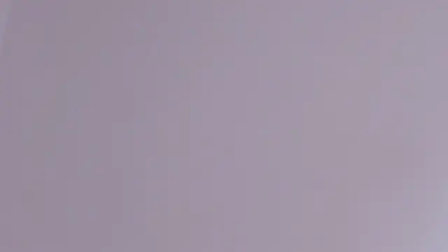 axel davis  online show from February 24, 3:57 pm