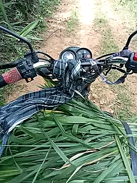 funcreat online show from September 27, 4:43 am