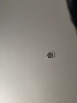 Gipsyboysteve online show from February 5, 2:57 pm