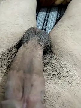 Zepe 12 online show from February 6, 12:18 am