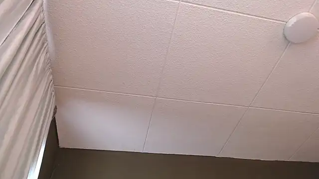 PaulEvens online show from December 18, 3:08 pm