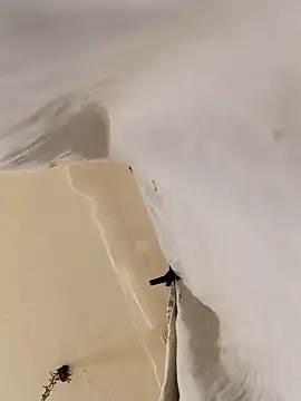 Maniek177 online show from February 25, 9:16 pm