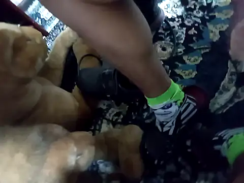 Gemenissss online show from September 11, 6:56 am