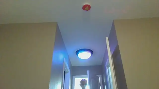 LeeCox online show from January 10, 10:41 am