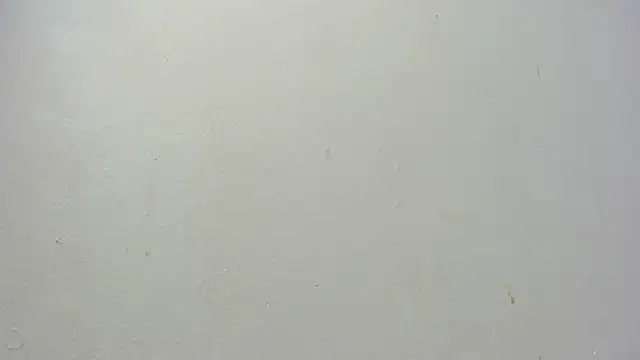 dominic de luca online show from November 7, 2:37 am