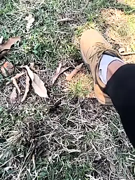 rajdehli online show from April 3, 5:59 am