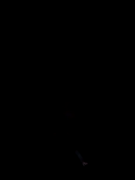 cumitted online show from November 2, 2:16 am