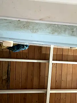 Diabloproducciones online show from September 13, 10:33 pm