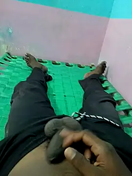 dolphiinn online show from September 14, 6:15 am