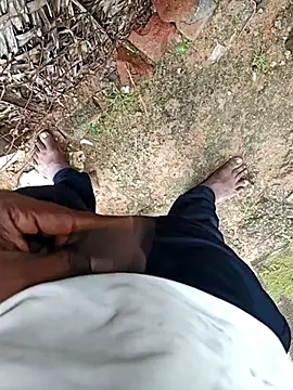 dolphiinn online show from December 17, 8:10 am