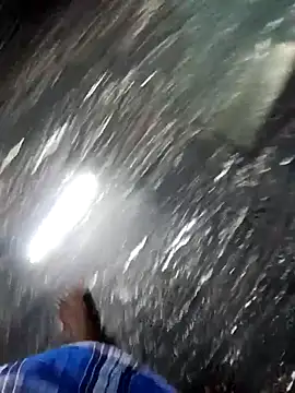 dolphiinn online show from October 8, 9:02 am