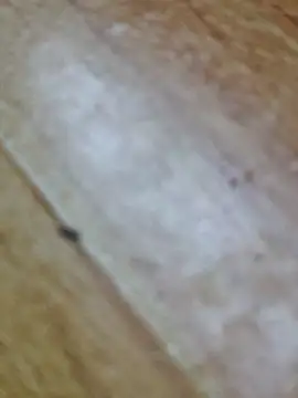 Markroco696 online show from October 11, 9:13 am