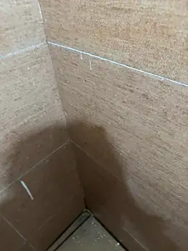 LVarjun online show from September 14, 5:20 am