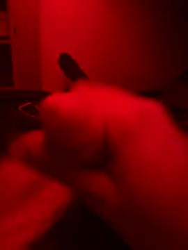 Snapshot of Tomek2224 chatting on October 14, 1:45 am Tomek2224 online show from October 14, 1:45 am