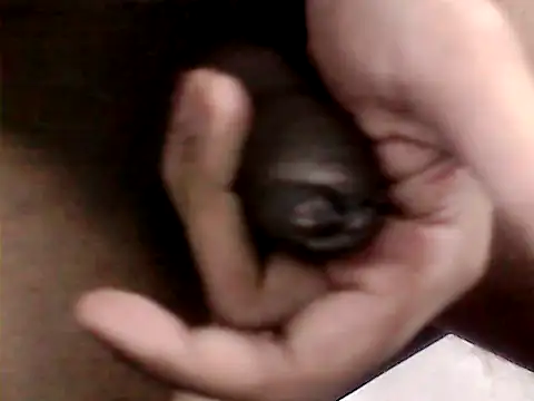 Snapshot of Bakasur_19 chatting on October 13, 6:36 pm Bakasur 19 online show from October 13, 6:36 pm