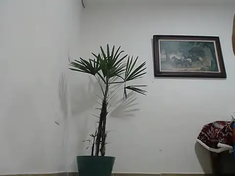 Young handsome online show from September 11, 1:26 am