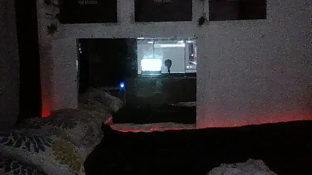 B3toBaby online show from February 23, 11:12 am